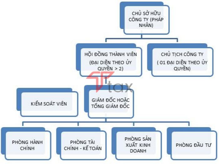 co-cau-to-chuc-cong-ty-tnhh-1-thanh-vien Một mô hình công ty TNHH 1 thành viên do tổ chức làm chủ sở hữu
